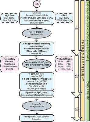 Spontaneous breathing approach in mild congenital diaphragmatic hernia: A resuscitation algorithm